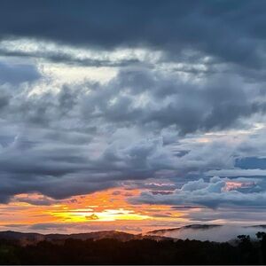 Meet your Posher, Elyse